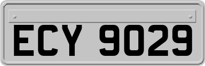 ECY9029
