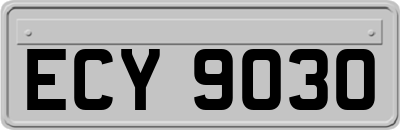 ECY9030