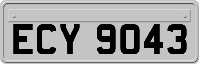 ECY9043