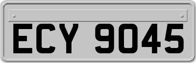 ECY9045