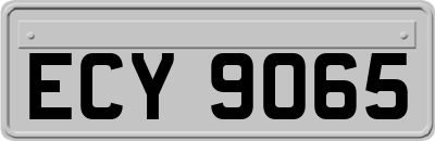 ECY9065