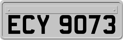 ECY9073
