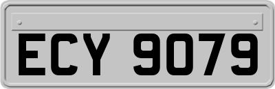 ECY9079
