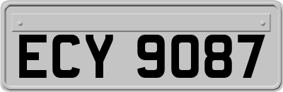 ECY9087