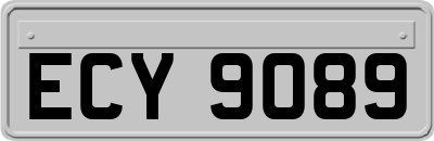 ECY9089