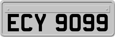 ECY9099