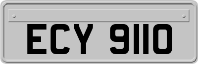 ECY9110