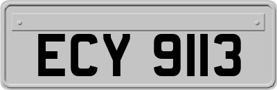 ECY9113