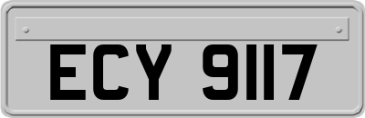 ECY9117