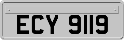 ECY9119
