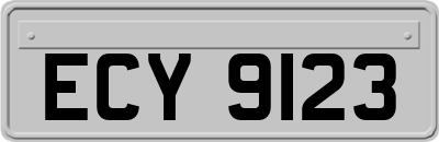 ECY9123