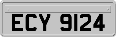 ECY9124