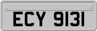 ECY9131