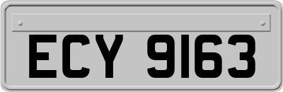 ECY9163