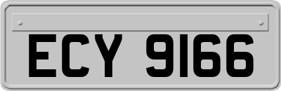 ECY9166