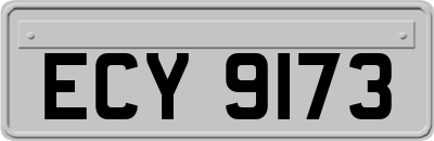 ECY9173