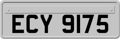 ECY9175