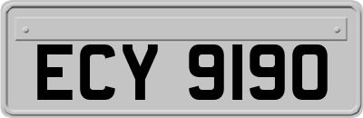 ECY9190