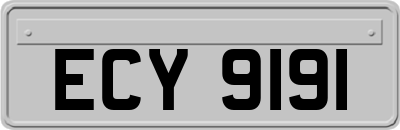 ECY9191