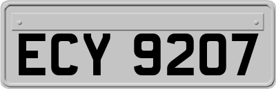 ECY9207