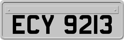 ECY9213