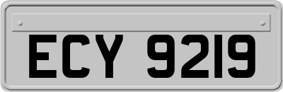 ECY9219