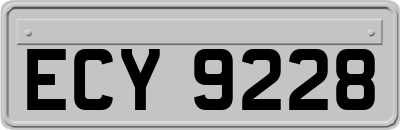 ECY9228