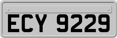 ECY9229