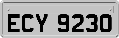ECY9230