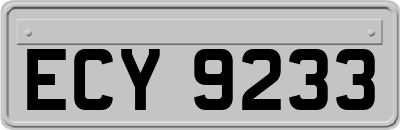 ECY9233