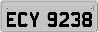 ECY9238