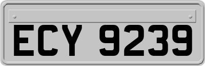 ECY9239