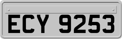 ECY9253