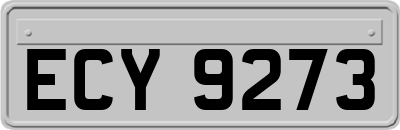 ECY9273