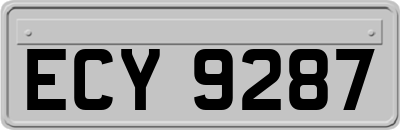 ECY9287