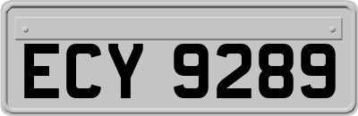 ECY9289