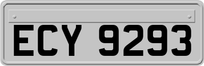 ECY9293