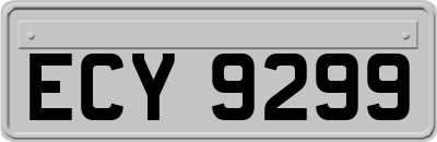 ECY9299