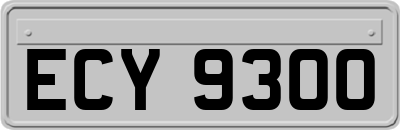 ECY9300