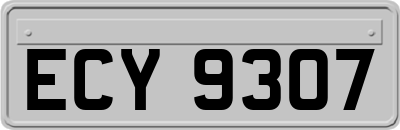 ECY9307