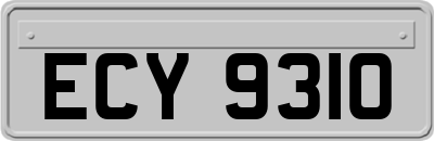 ECY9310