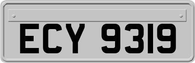 ECY9319