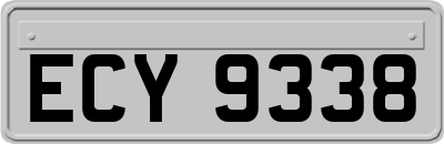 ECY9338