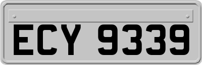 ECY9339