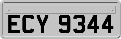 ECY9344