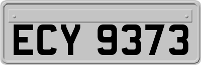 ECY9373