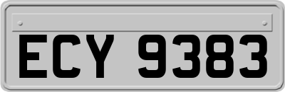 ECY9383