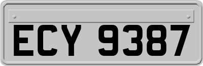 ECY9387