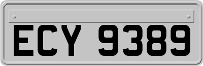 ECY9389
