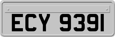 ECY9391
